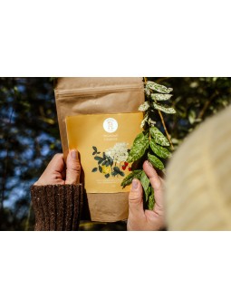 Pigwowe Lśnienie - refill