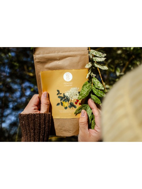 Pigwowe Lśnienie - refill