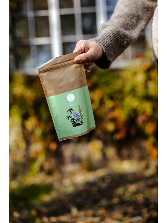 Miętowy Brzask - refill